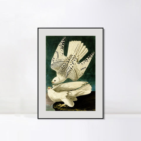 INVIN ART Metal Framed Canvas Giclee Print Iceland or Jer Falcon by John James Audubon Wall Art Living Room Home Office Decorations