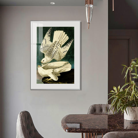 INVIN ART Metal Framed Canvas Giclee Print Iceland or Jer Falcon by John James Audubon Wall Art Living Room Home Office Decorations