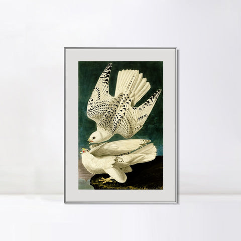 INVIN ART Metal Framed Canvas Giclee Print Iceland or Jer Falcon by John James Audubon Wall Art Living Room Home Office Decorations