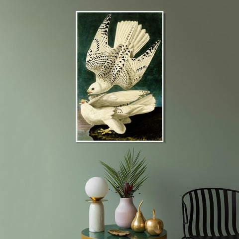INVIN ART Framed Canvas Giclee Print Iceland or Jer Falcon by John James Audubon Wall Art Living Room Home Office Decorations