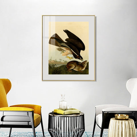 INVIN ART Metal Framed Canvas Giclee Print Common Buzzard by John James Audubon Wall Art Living Room Home Office Decorations
