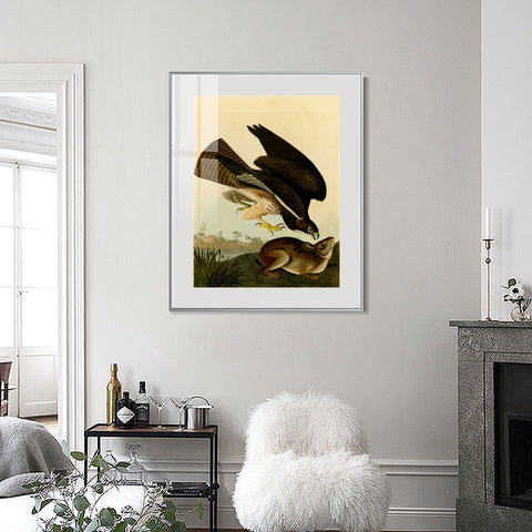 INVIN ART Metal Framed Canvas Giclee Print Common Buzzard by John James Audubon Wall Art Living Room Home Office Decorations