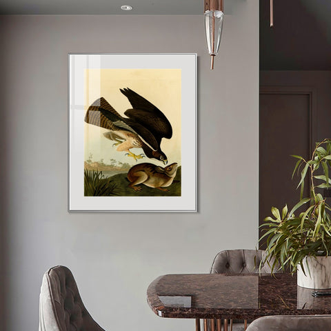 INVIN ART Metal Framed Canvas Giclee Print Common Buzzard by John James Audubon Wall Art Living Room Home Office Decorations
