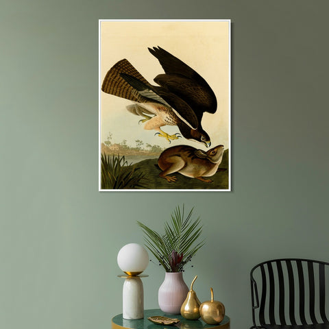 INVIN ART Framed Canvas Giclee Print Common Buzzard by John James Audubon Wall Art Living Room Home Office Decorations
