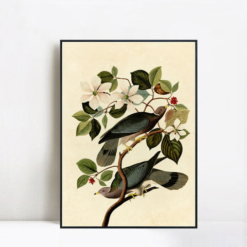 INVIN ART Framed Canvas Series#130 by John James Audubon Wall Art Living Room Home Office Decorations