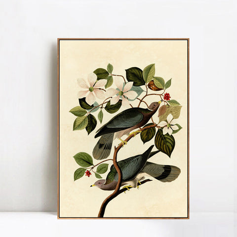 INVIN ART Framed Canvas Series#130 by John James Audubon Wall Art Living Room Home Office Decorations