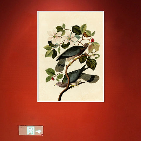 INVIN ART Framed Canvas Series#130 by John James Audubon Wall Art Living Room Home Office Decorations