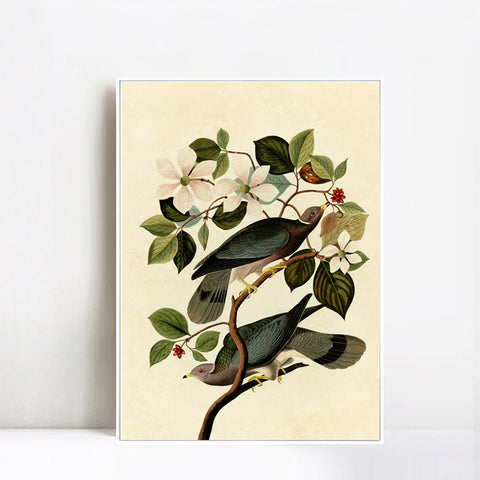 INVIN ART Framed Canvas Series#130 by John James Audubon Wall Art Living Room Home Office Decorations