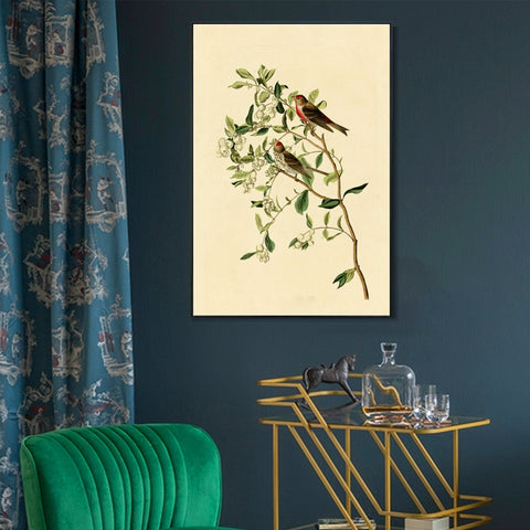 INVIN ART Framed Canvas Lesser Red Poll by John James Audubon Wall Art Living Room Home Office Decorations