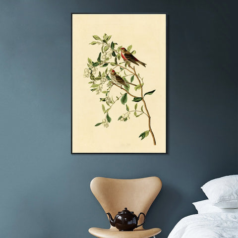 INVIN ART Framed Canvas Lesser Red Poll by John James Audubon Wall Art Living Room Home Office Decorations