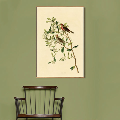 INVIN ART Framed Canvas Lesser Red Poll by John James Audubon Wall Art Living Room Home Office Decorations