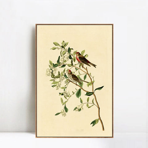 INVIN ART Framed Canvas Lesser Red Poll by John James Audubon Wall Art Living Room Home Office Decorations