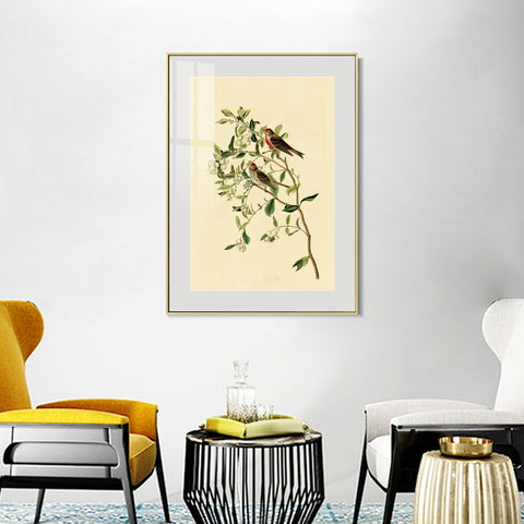INVIN ART Metal Framed Canvas Lesser Red Poll by John James Audubon Wall Art Living Room Home Office Decorations