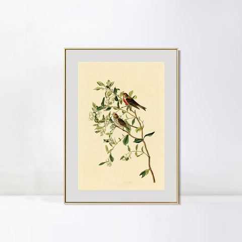INVIN ART Metal Framed Canvas Lesser Red Poll by John James Audubon Wall Art Living Room Home Office Decorations