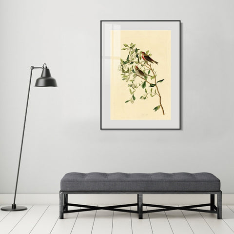 INVIN ART Metal Framed Canvas Lesser Red Poll by John James Audubon Wall Art Living Room Home Office Decorations
