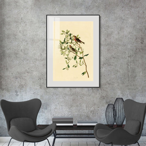 INVIN ART Metal Framed Canvas Lesser Red Poll by John James Audubon Wall Art Living Room Home Office Decorations