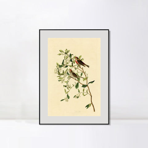 INVIN ART Metal Framed Canvas Lesser Red Poll by John James Audubon Wall Art Living Room Home Office Decorations