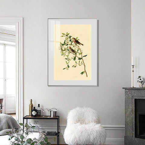 INVIN ART Metal Framed Canvas Lesser Red Poll by John James Audubon Wall Art Living Room Home Office Decorations