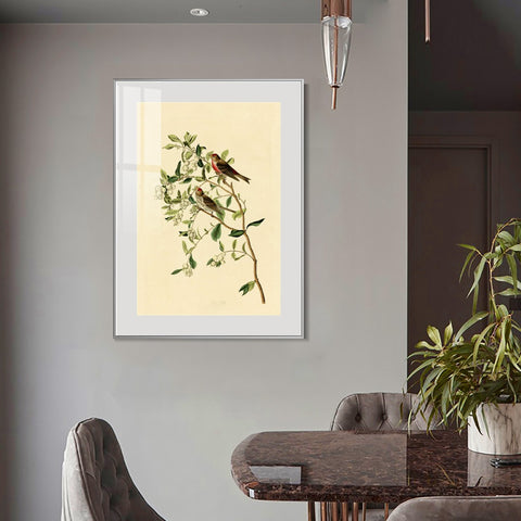 INVIN ART Metal Framed Canvas Lesser Red Poll by John James Audubon Wall Art Living Room Home Office Decorations