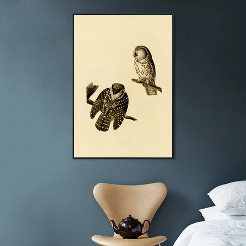 INVIN ART Framed Canvas Tengmalm's Owl by John James Audubon Wall Art Living Room Home Office Decorations