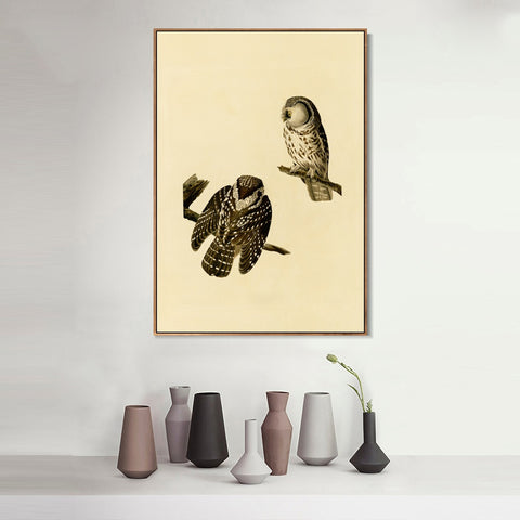 INVIN ART Framed Canvas Tengmalm's Owl by John James Audubon Wall Art Living Room Home Office Decorations