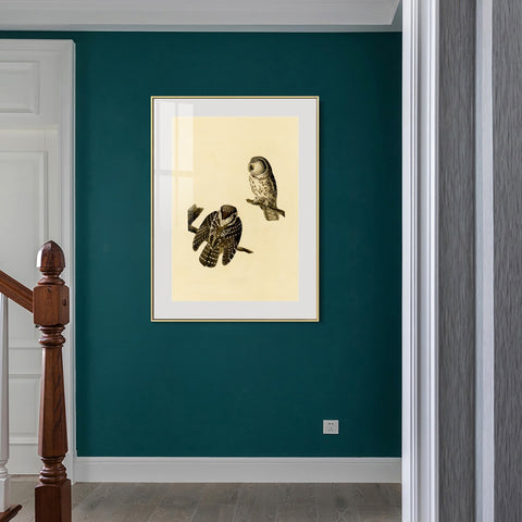 INVIN ART Metal Framed Canvas Tengmalm's Owl by John James Audubon Wall Art Living Room Home Office Decorations