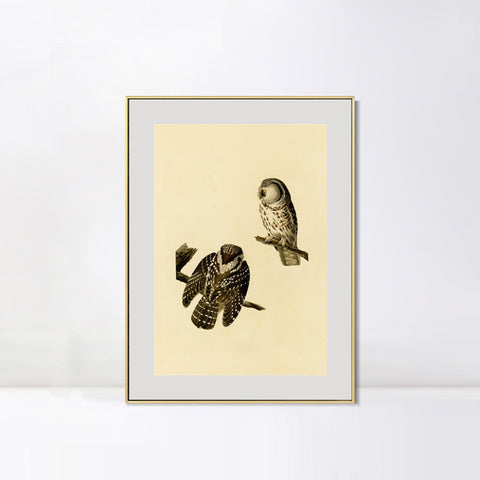 INVIN ART Metal Framed Canvas Tengmalm's Owl by John James Audubon Wall Art Living Room Home Office Decorations