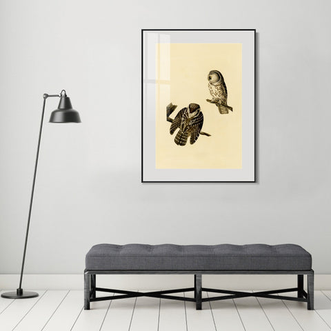 INVIN ART Metal Framed Canvas Tengmalm's Owl by John James Audubon Wall Art Living Room Home Office Decorations