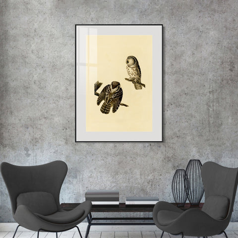 INVIN ART Metal Framed Canvas Tengmalm's Owl by John James Audubon Wall Art Living Room Home Office Decorations