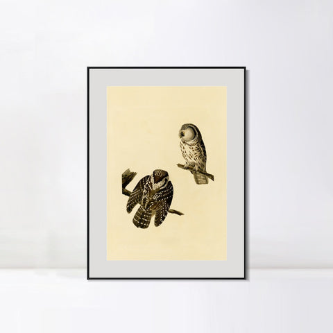 INVIN ART Metal Framed Canvas Tengmalm's Owl by John James Audubon Wall Art Living Room Home Office Decorations