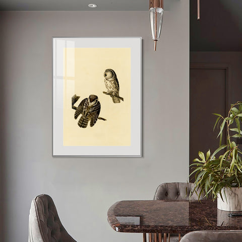 INVIN ART Metal Framed Canvas Tengmalm's Owl by John James Audubon Wall Art Living Room Home Office Decorations