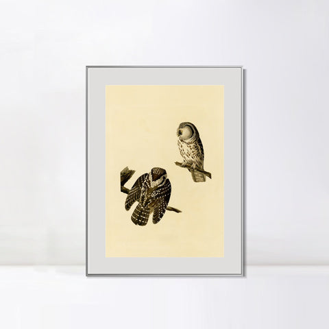 INVIN ART Metal Framed Canvas Tengmalm's Owl by John James Audubon Wall Art Living Room Home Office Decorations
