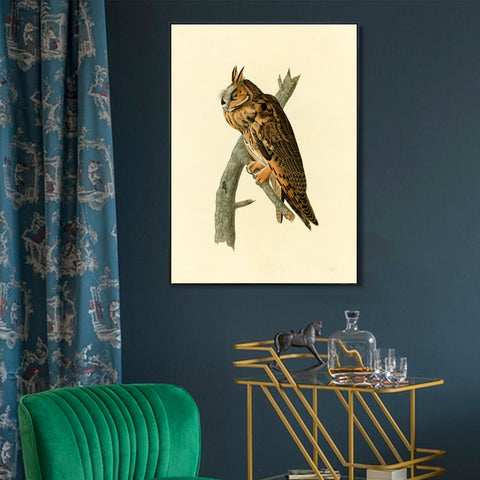 INVIN ART Framed Canvas Long eared Owl by John James Audubon Wall Art Living Room Home Office Decorations