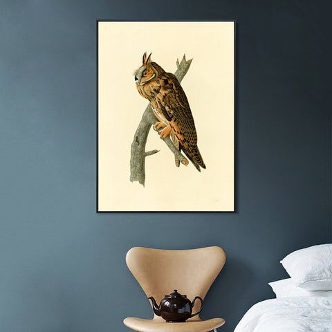 INVIN ART Framed Canvas Long eared Owl by John James Audubon Wall Art Living Room Home Office Decorations