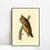 INVIN ART Framed Canvas Long eared Owl by John James Audubon Wall Art Living Room Home Office Decorations