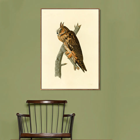 INVIN ART Framed Canvas Long eared Owl by John James Audubon Wall Art Living Room Home Office Decorations