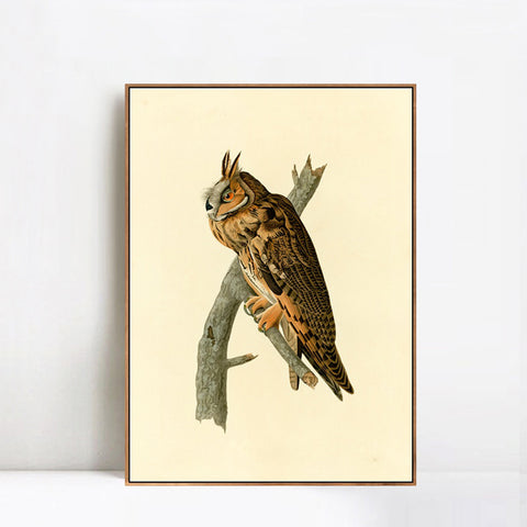 INVIN ART Framed Canvas Long eared Owl by John James Audubon Wall Art Living Room Home Office Decorations