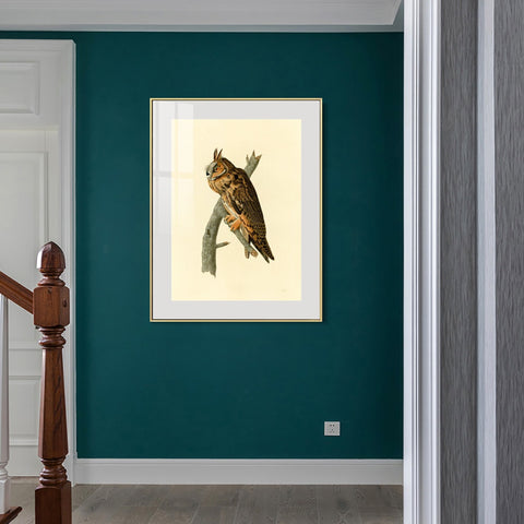 INVIN ART Metal Framed Canvas Long eared Owl by John James Audubon Wall Art Living Room Home Office Decorations