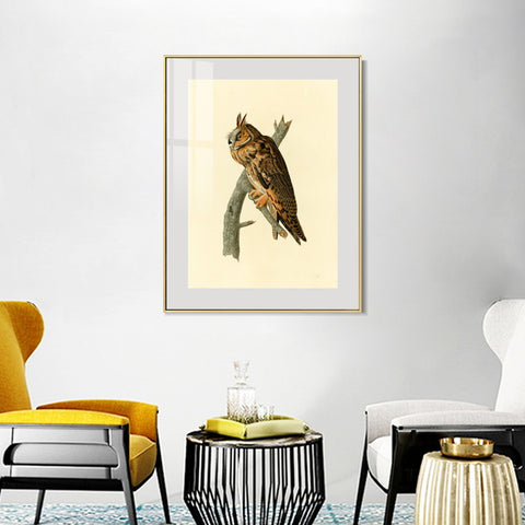 INVIN ART Metal Framed Canvas Long eared Owl by John James Audubon Wall Art Living Room Home Office Decorations