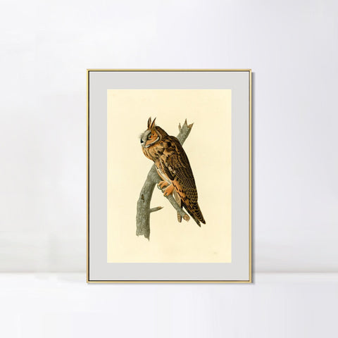 INVIN ART Metal Framed Canvas Long eared Owl by John James Audubon Wall Art Living Room Home Office Decorations