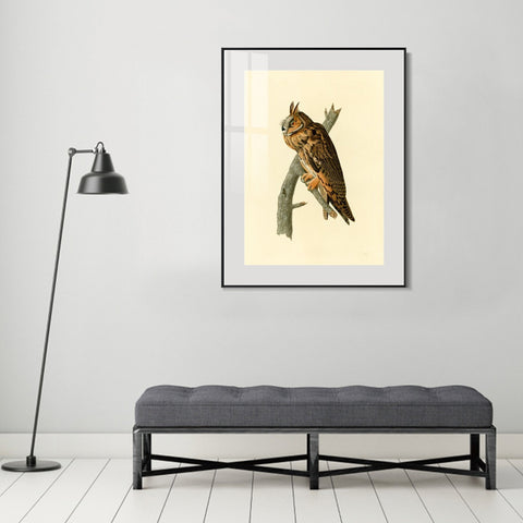 INVIN ART Metal Framed Canvas Long eared Owl by John James Audubon Wall Art Living Room Home Office Decorations