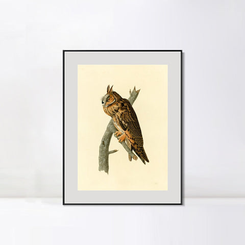 INVIN ART Metal Framed Canvas Long eared Owl by John James Audubon Wall Art Living Room Home Office Decorations