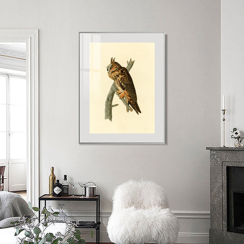 INVIN ART Metal Framed Canvas Long eared Owl by John James Audubon Wall Art Living Room Home Office Decorations