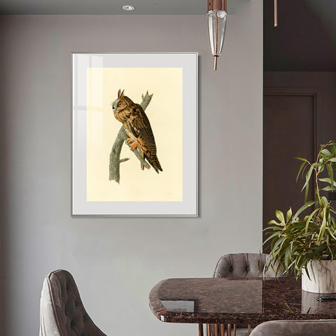 INVIN ART Metal Framed Canvas Long eared Owl by John James Audubon Wall Art Living Room Home Office Decorations