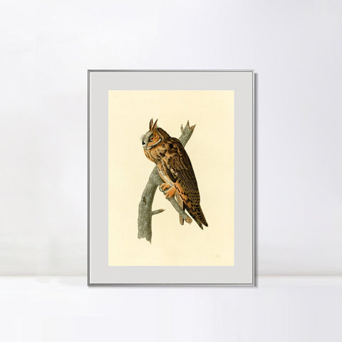 INVIN ART Metal Framed Canvas Long eared Owl by John James Audubon Wall Art Living Room Home Office Decorations