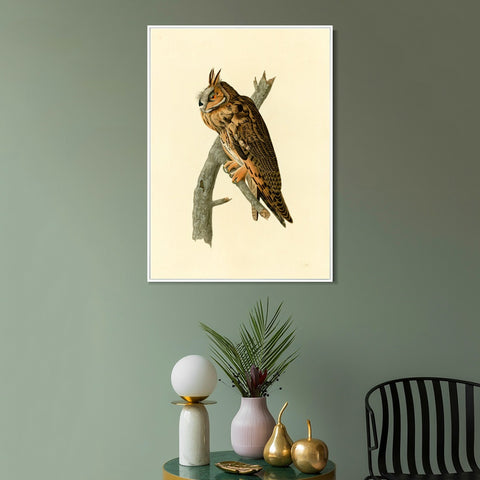 INVIN ART Framed Canvas Long eared Owl by John James Audubon Wall Art Living Room Home Office Decorations