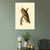 INVIN ART Framed Canvas Long eared Owl by John James Audubon Wall Art Living Room Home Office Decorations