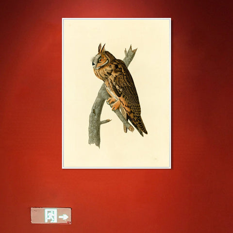 INVIN ART Framed Canvas Long eared Owl by John James Audubon Wall Art Living Room Home Office Decorations