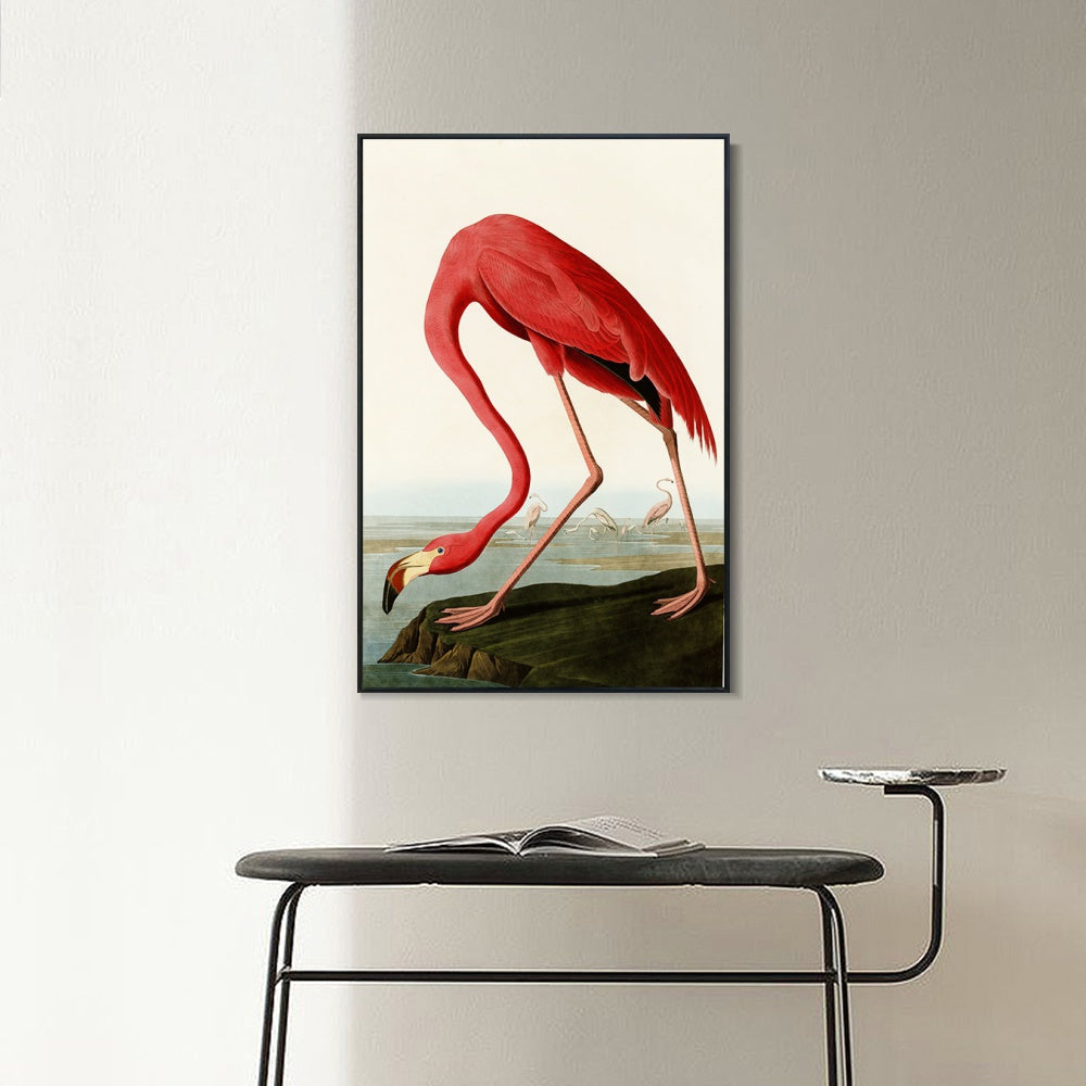 INVIN ART Framed Canvas American Flamingo by John James Audubon Wall Art Living Room Home Office Decorations