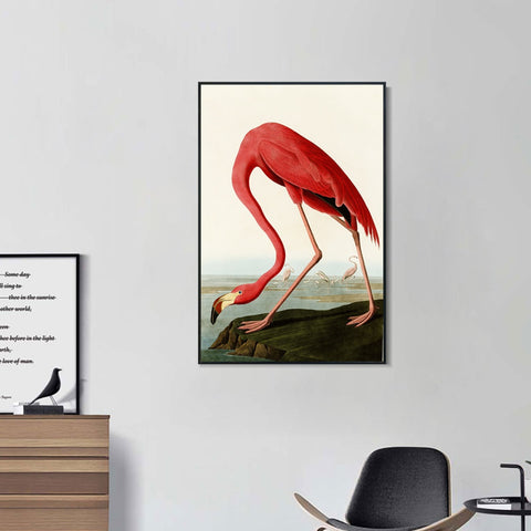 INVIN ART Framed Canvas American Flamingo by John James Audubon Wall Art Living Room Home Office Decorations